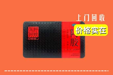伊春市汤旺回收阿胶