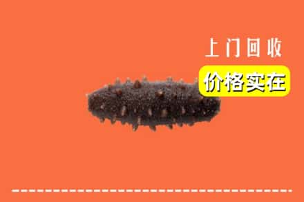 伊春市汤旺回收海参